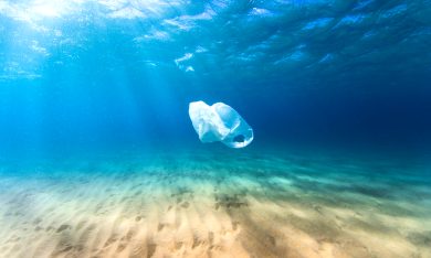 Sacchetti bio: davvero la salute del mare non vale uno spicciolo?