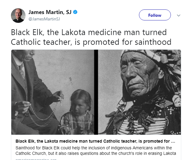 Perché Alce Nero diventerà Santo