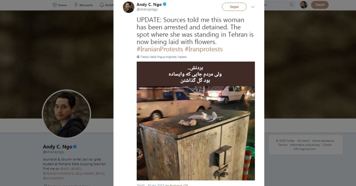 Galleria foto 'La ragazza iraniana simbolo della protesta delle donne' - foto 5