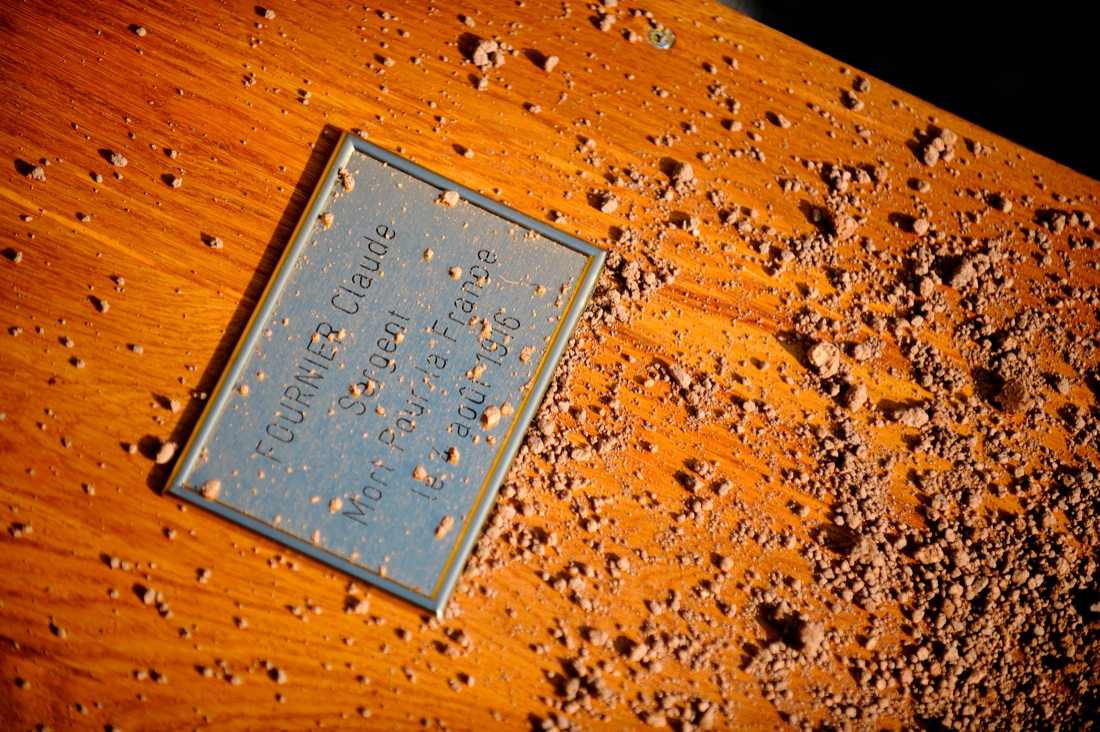 Le foto più belle della settimana: dal 17 al 23 febbraio Le foto più belle della settimana: dal 17 al 23 febbraio