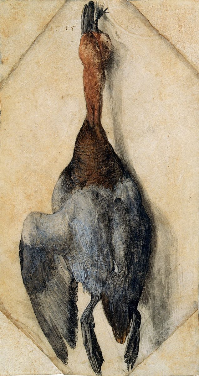 Dürer e il Rinascimento tedesco in mostra a Milano Dürer e il Rinascimento tedesco in mostra a Milano