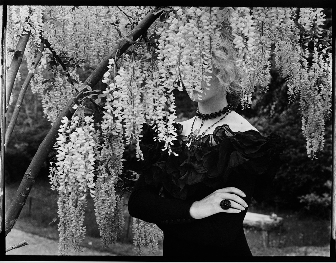 Albert Watson: Fashion, Portraits e Landscapes Albert Watson: Fashion, Portraits e Landscapes