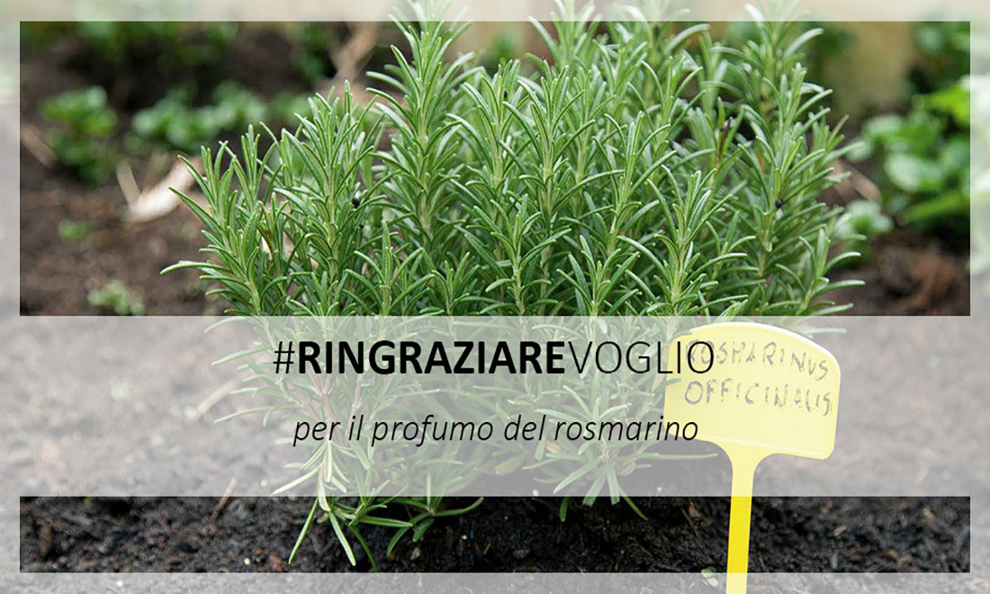 #RingraziareVoglio, un verso per creare un racconto collettivo