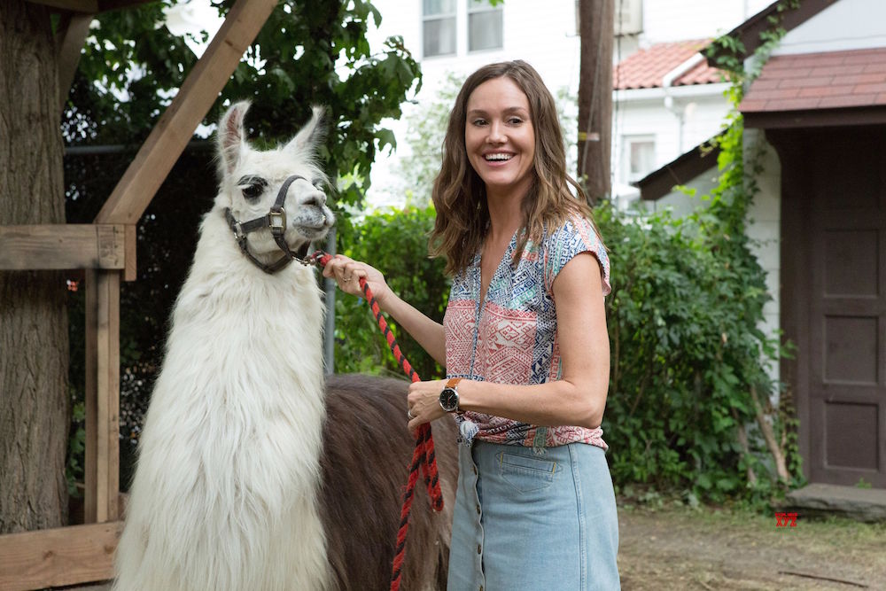 The Dangerous Book for Boys: foto, trailer e cose da sapere The Dangerous Book for Boys: foto, trailer e cose da sapere