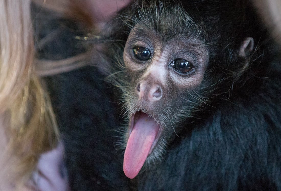 Le foto più belle della settimana: dal 17 al 23 marzo Le foto più belle della settimana: dal 17 al 23 marzo