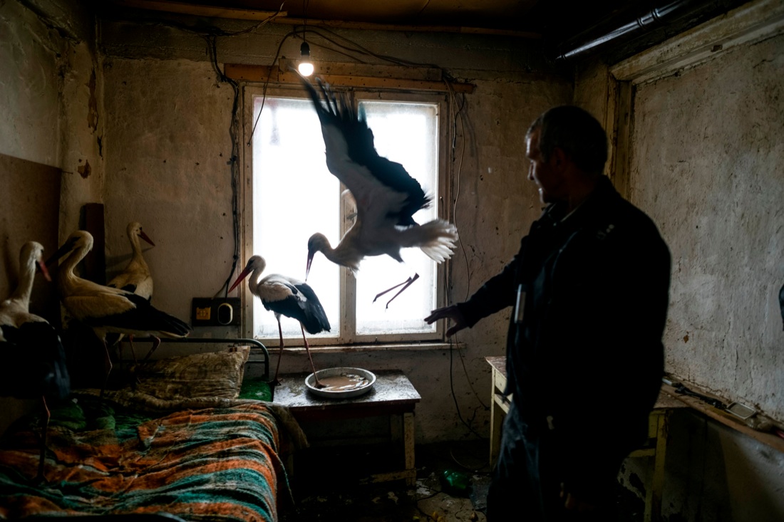 Le foto più belle della settimana: dal 17 al 23 marzo Le foto più belle della settimana: dal 17 al 23 marzo