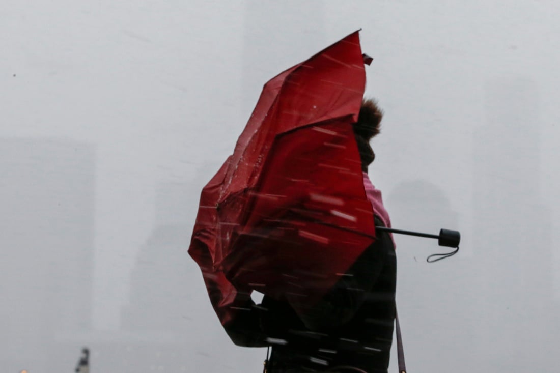 Le foto più belle della settimana: dal 17 al 23 marzo Le foto più belle della settimana: dal 17 al 23 marzo