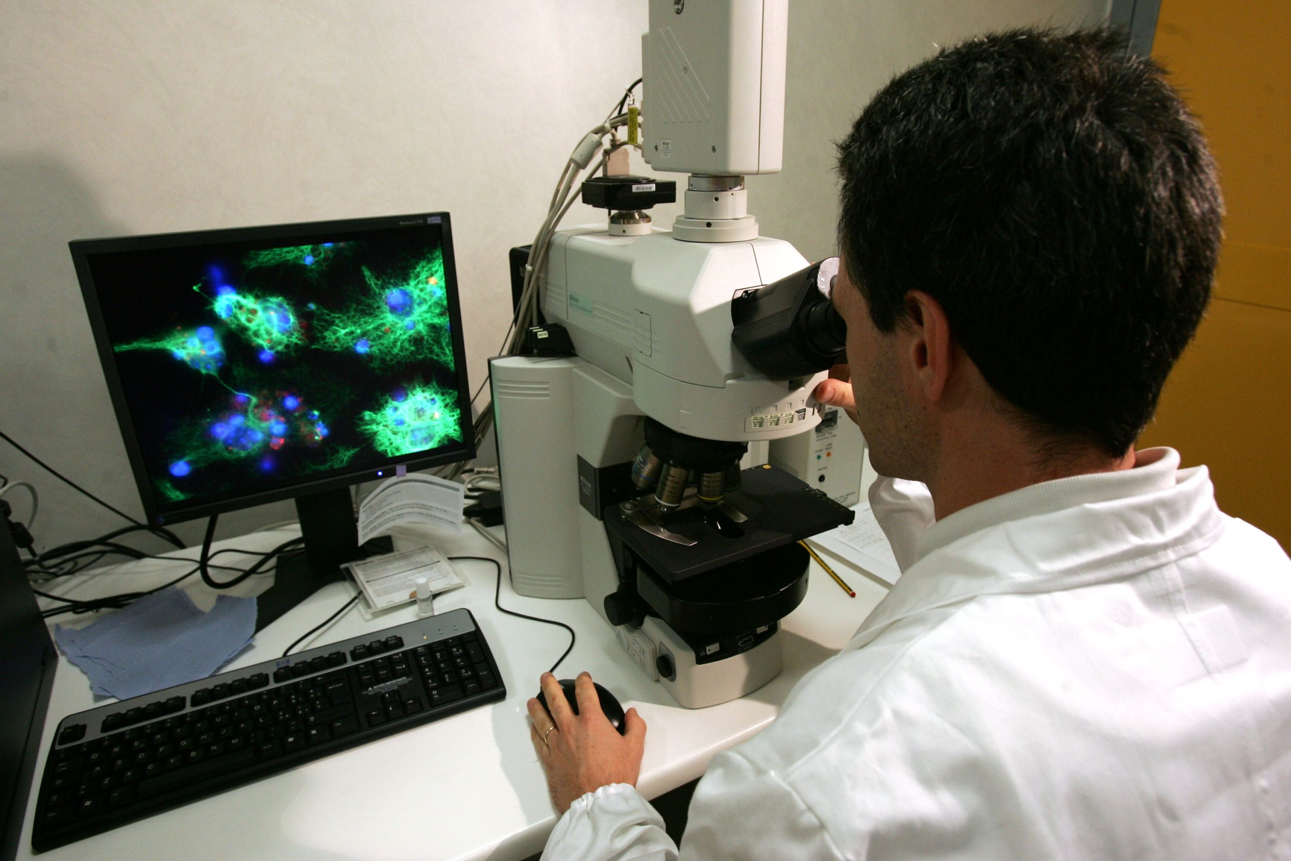 Fisco, ecco le agevolazioni per far ritornare i cervelli in fuga