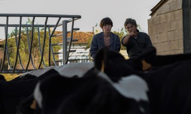 Petit Paysan – Un eroe singolare, dramma rurale di Hubert Charuel – Video