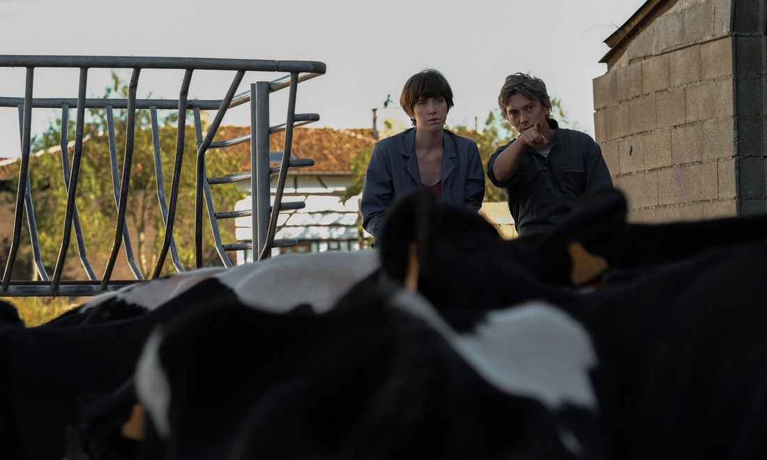 Petit Paysan – Un eroe singolare, dramma rurale di Hubert Charuel – Video Petit Paysan – Un eroe singolare, dramma rurale di Hubert Charuel – Video