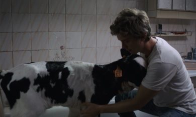 Petit Paysan – Un eroe singolare: estratto del film di Hubert Charuel