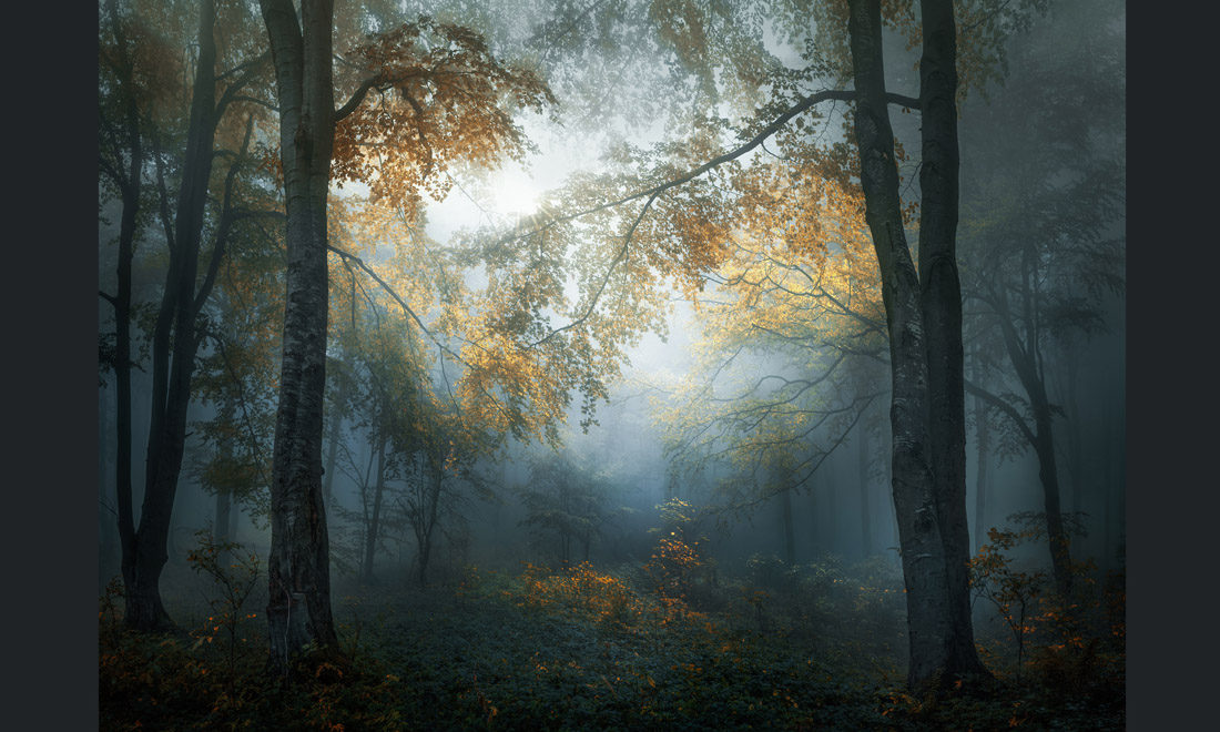 Sony World Photography Awards 2018, le 10 foto più belle Sony World Photography Awards 2018, le 10 foto più belle