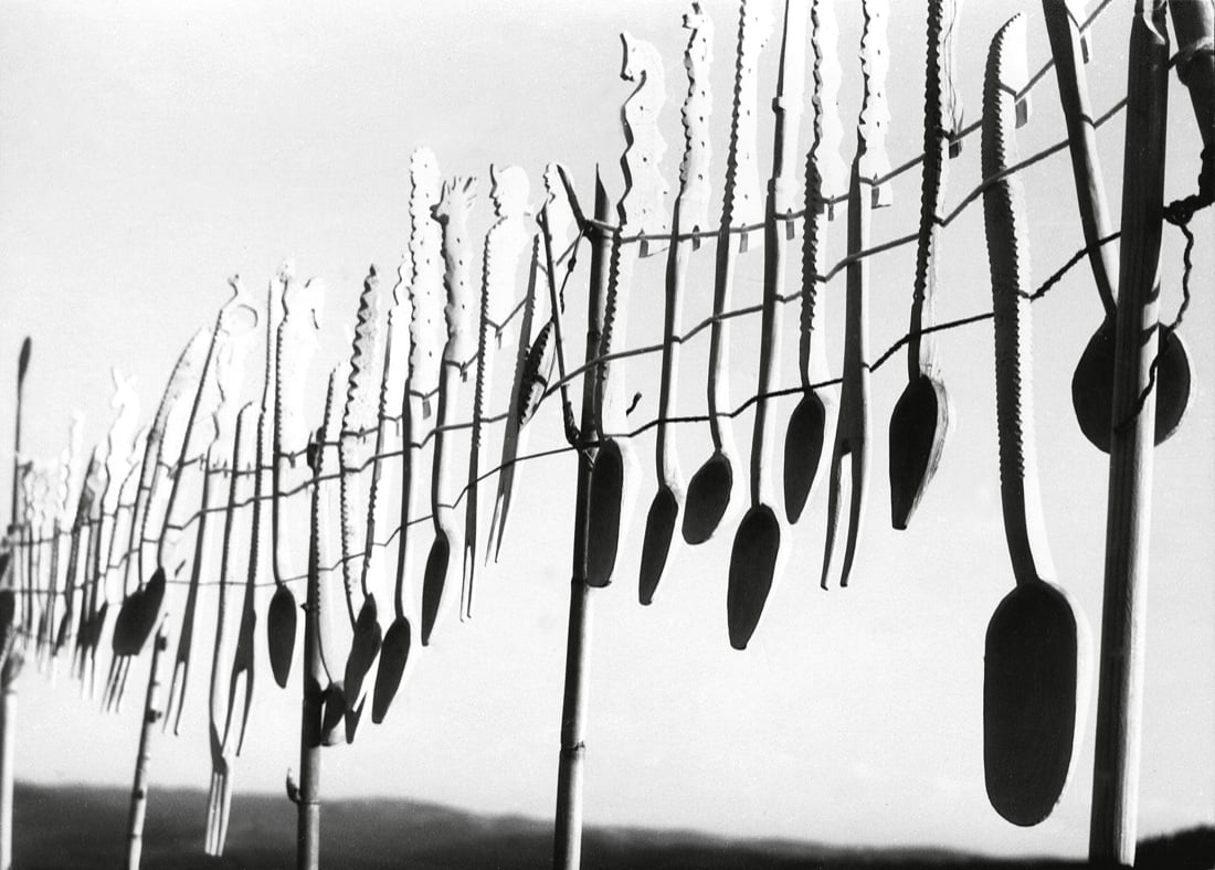 Fulvio Roiter in mostra alla Casa dei Tre Oci di Venezia Fulvio Roiter in mostra alla Casa dei Tre Oci di Venezia