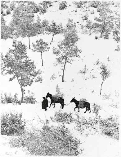 Fulvio Roiter in mostra alla Casa dei Tre Oci di Venezia