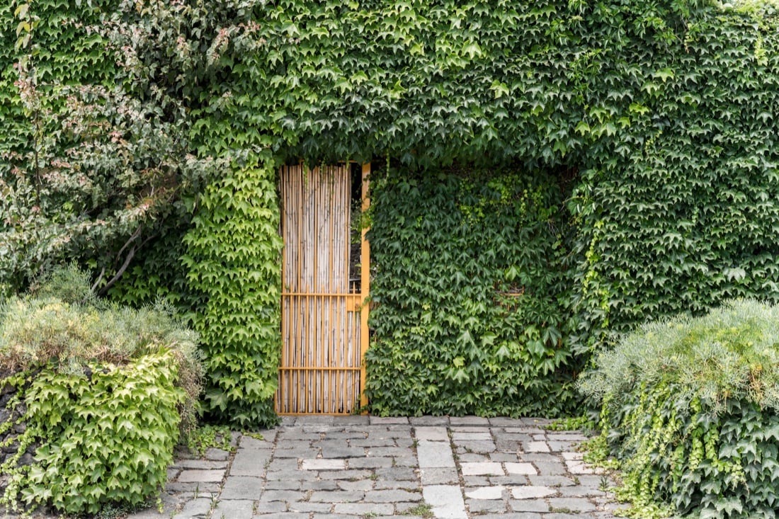 Respirano i muri Respirano i muri