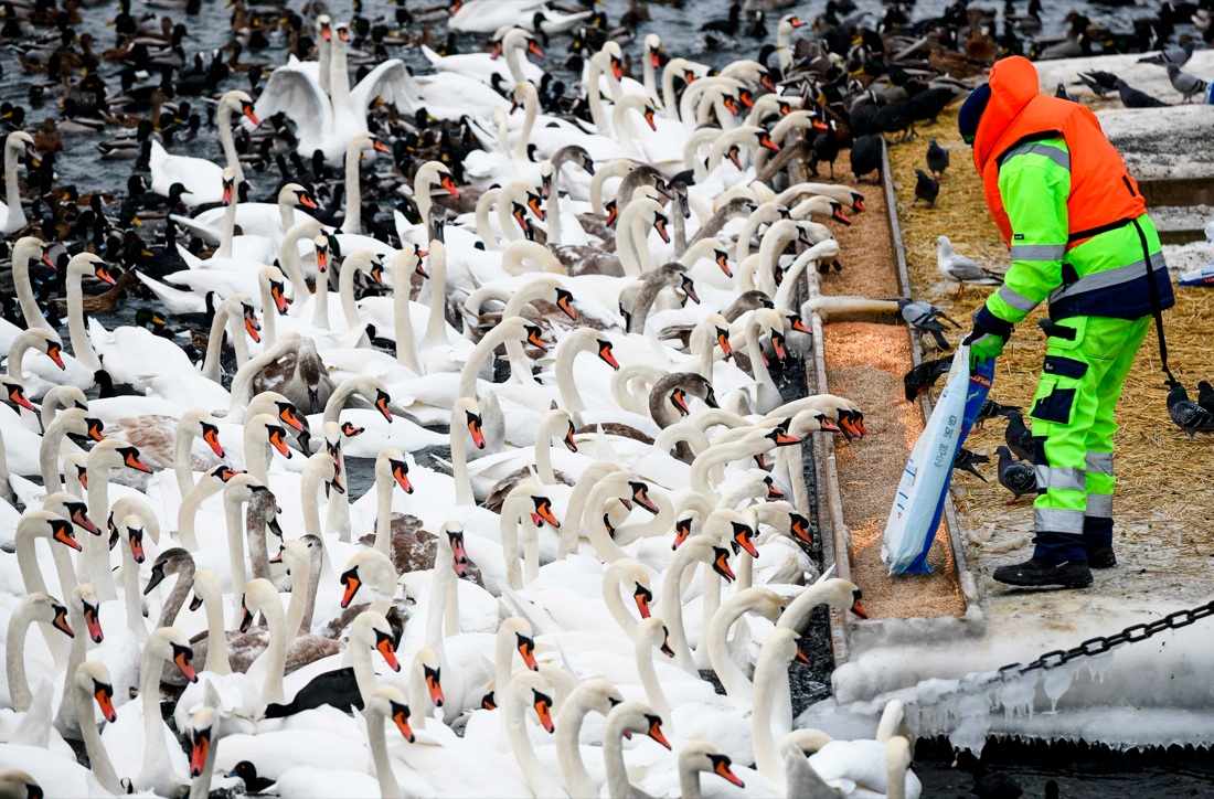 Le foto più belle della settimana: dal 4 al 9 marzo