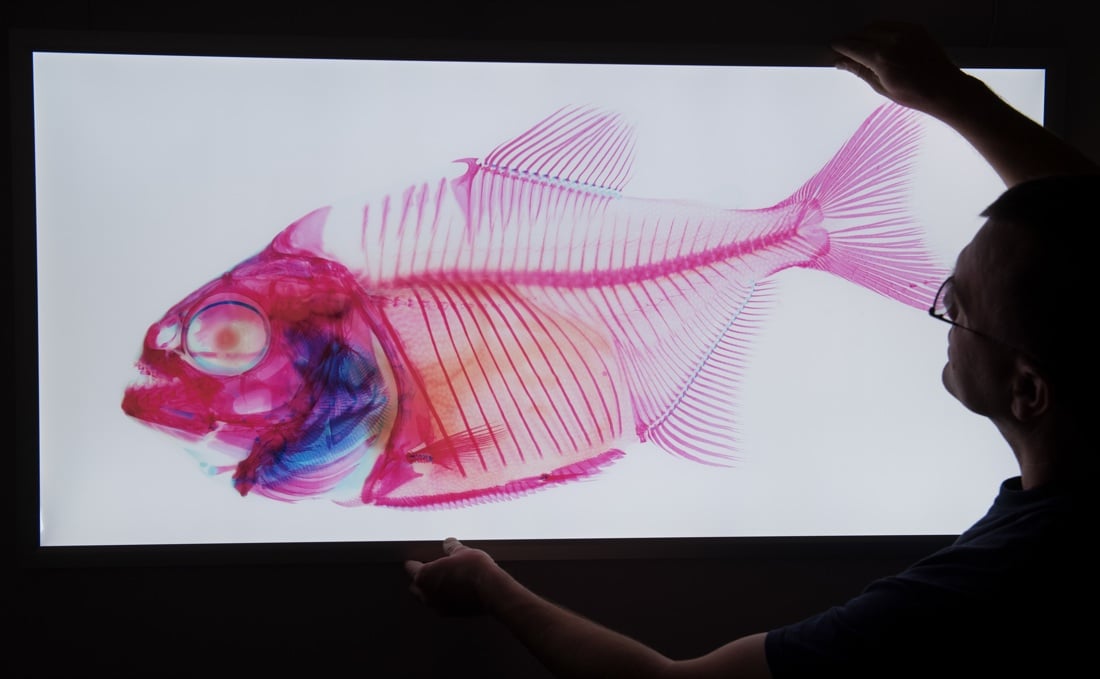 Le foto più belle della settimana: dal 4 al 9 marzo