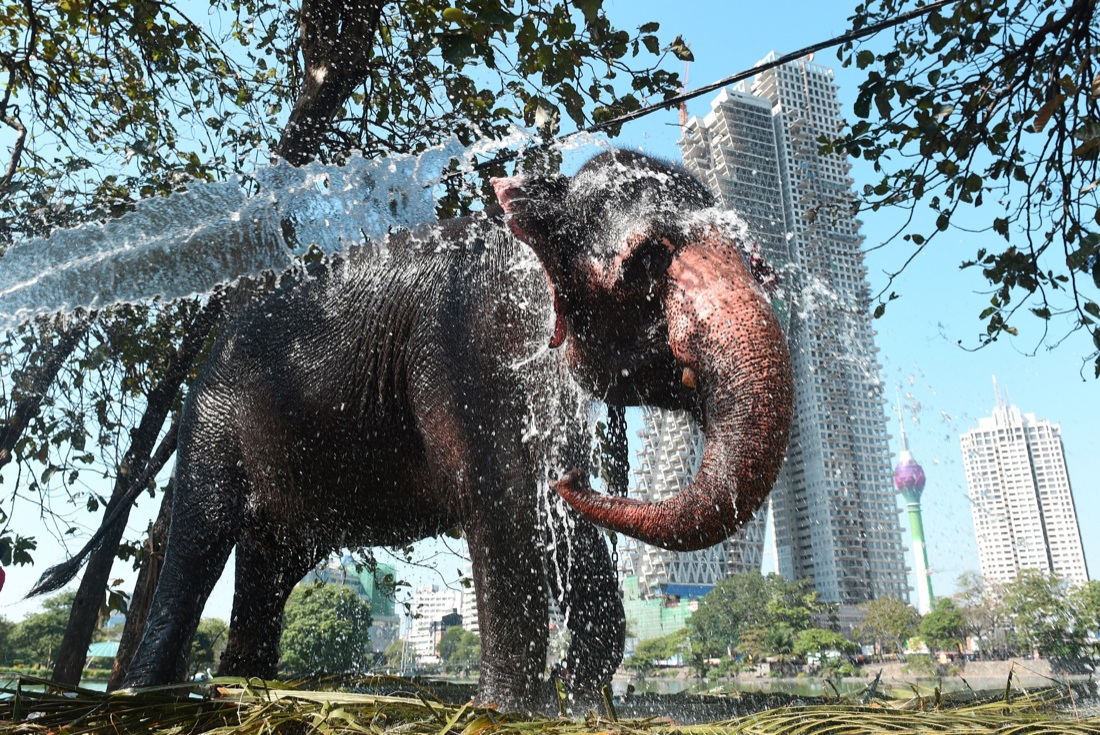 Le foto più belle della settimana: dal 24 febbraio al 2 marzo Le foto più belle della settimana: dal 24 febbraio al 2 marzo