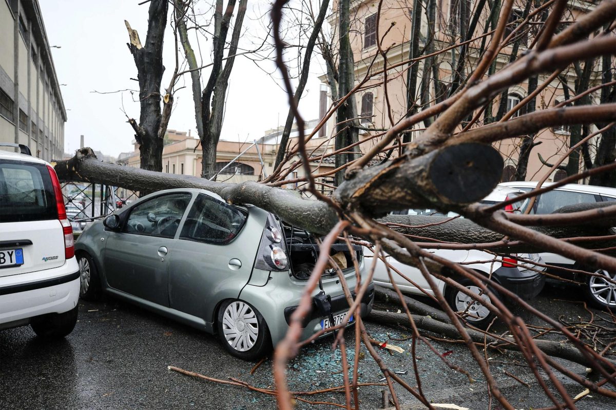 Galleria foto 'Le foto del giorno – 30/04/2018' - foto 3