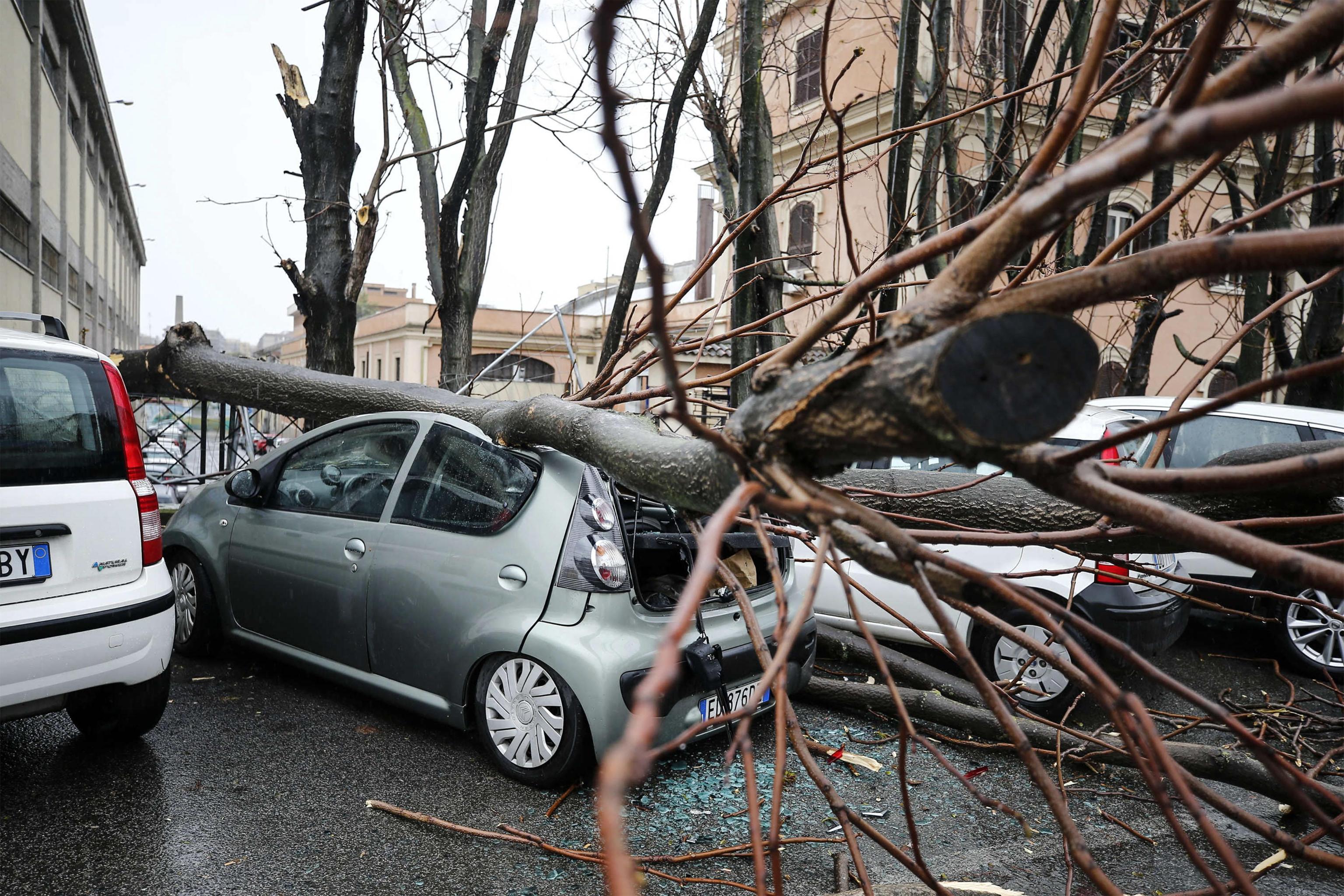 Le foto del giorno – 30/04/2018 Le foto del giorno – 30/04/2018