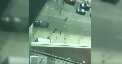 Furgone tra la folla a Toronto; il video dell’arresto del terrorista