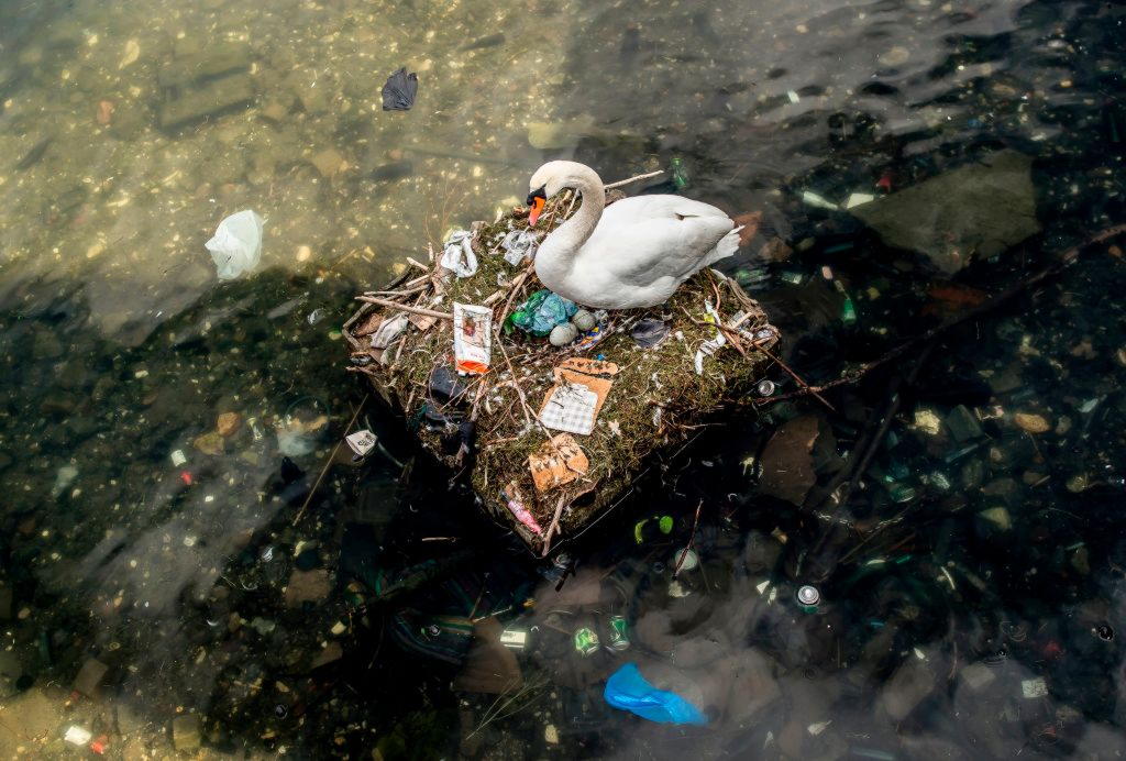 Le foto più belle della settimana: dal 14 al 20 aprile Le foto più belle della settimana: dal 14 al 20 aprile