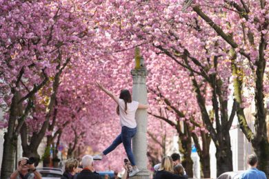 Le foto più belle della settimana: dal 14 al 20 aprile
