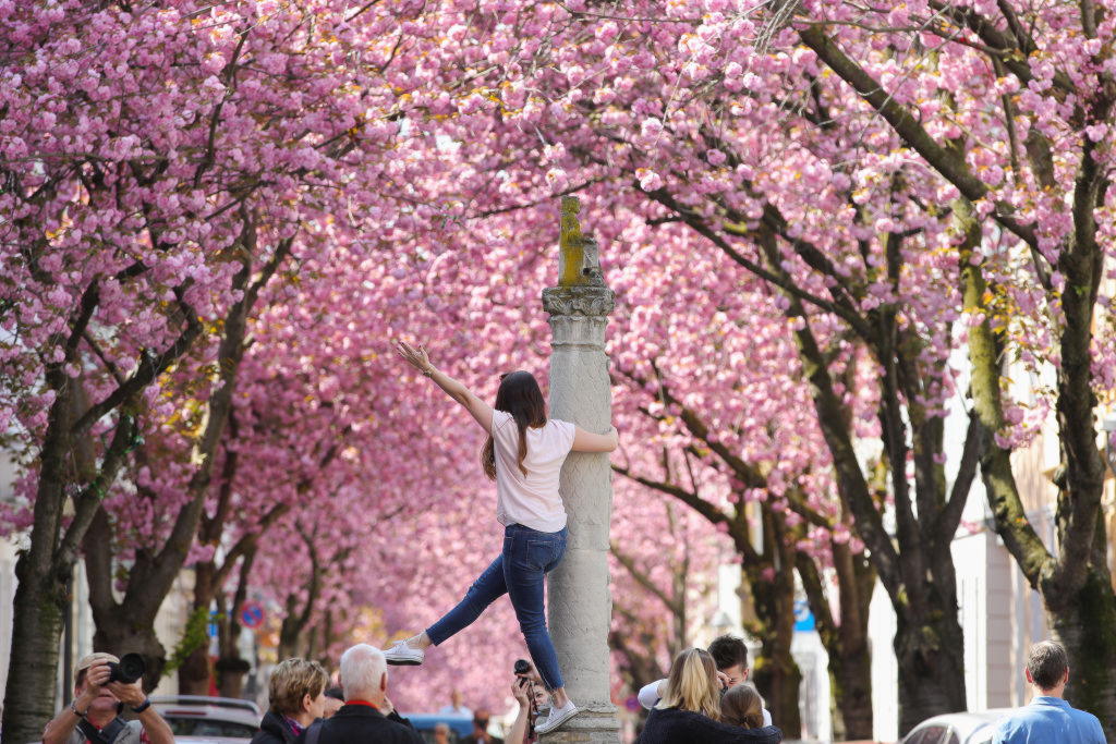 Le foto più belle della settimana: dal 14 al 20 aprile Le foto più belle della settimana: dal 14 al 20 aprile