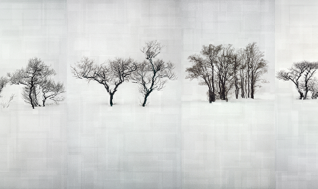 Sony World Photography Awards 2018: le foto dei vincitori Sony World Photography Awards 2018: le foto dei vincitori