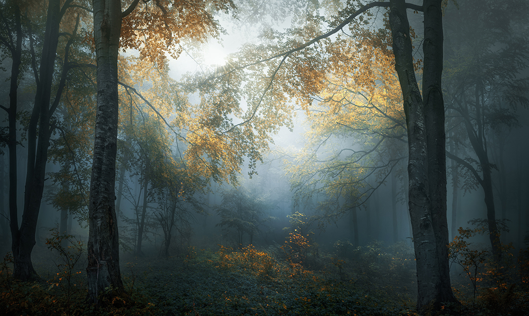 Sony World Photography Awards 2018: le foto dei vincitori Sony World Photography Awards 2018: le foto dei vincitori