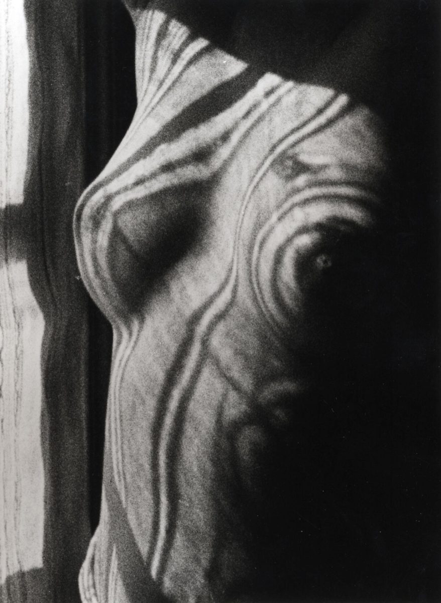 Le foto di Man Ray in mostra a San Gimignano Le foto di Man Ray in mostra a San Gimignano