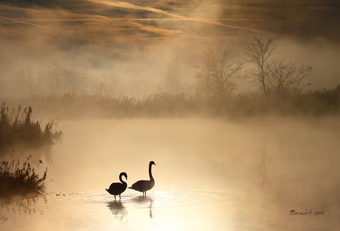 Festival Fotografico Europeo 2018 Festival Fotografico Europeo 2018