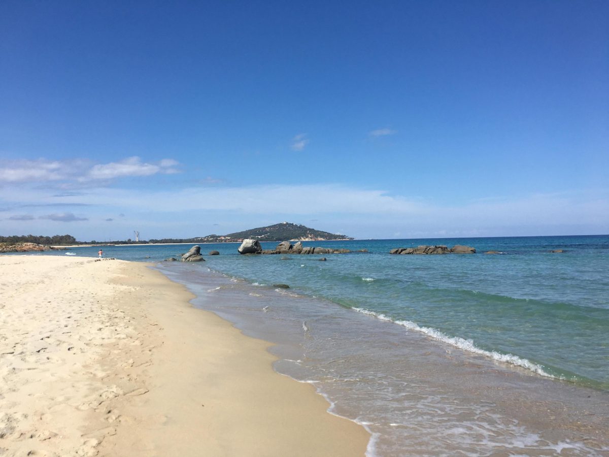 Galleria foto 'Le foto del giorno – 31/05/2018' - foto 30