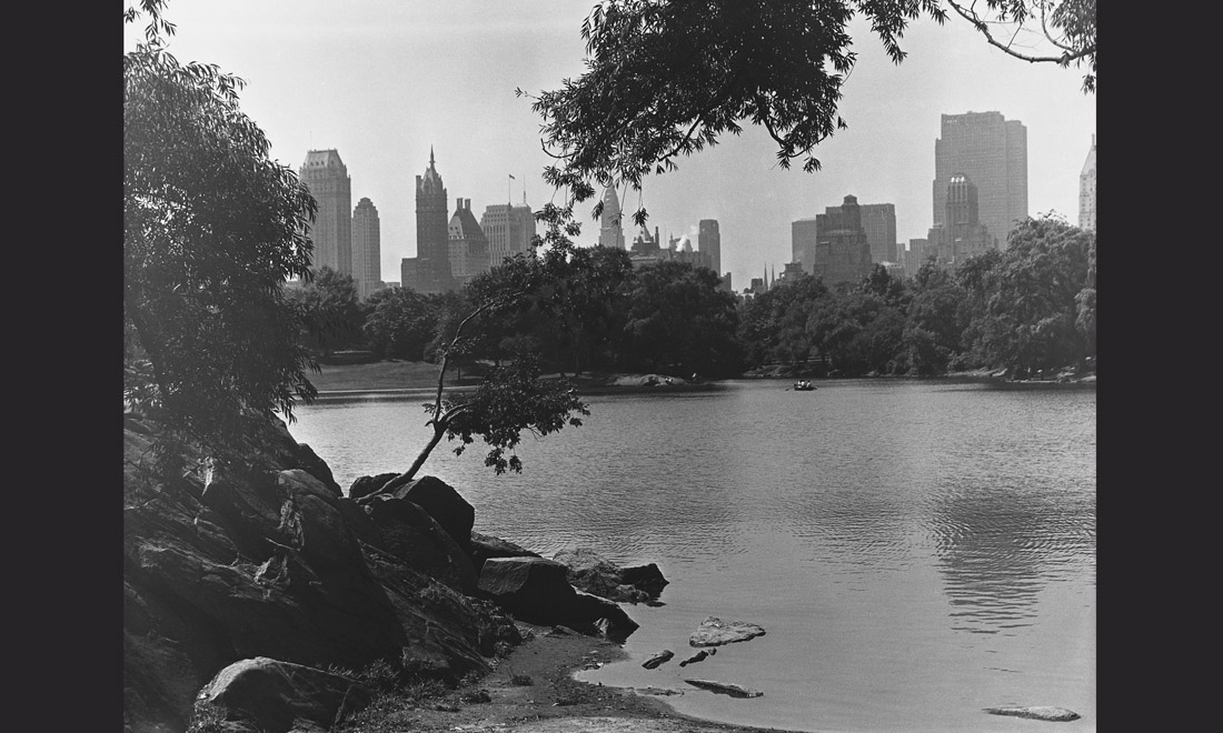New York: la storia di Central Park (finalmente senza auto) New York: la storia di Central Park (finalmente senza auto)