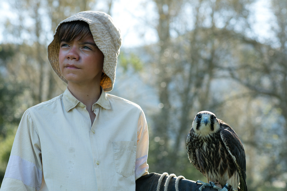 I Durrell: arriva la stagione 2. Il trailer in anteprima I Durrell: arriva la stagione 2. Il trailer in anteprima