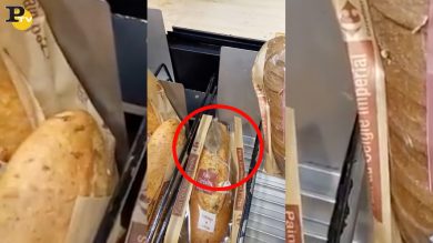 Trova un topo nel pane al supermercato | video