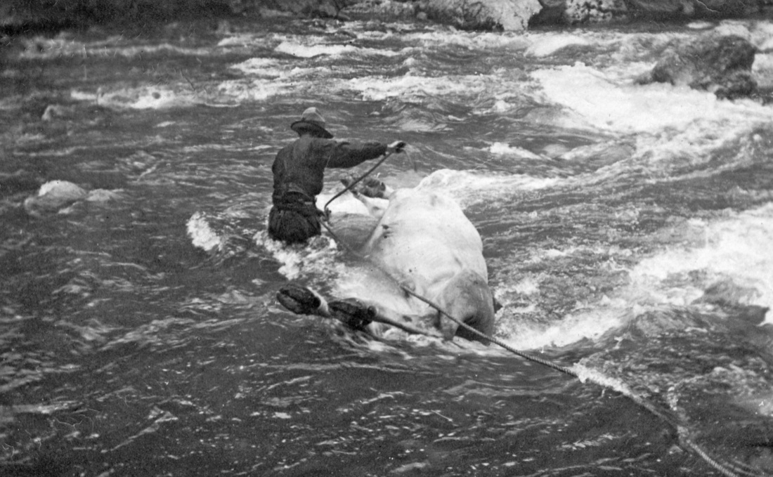 Grande Guerra, Comelico: storia di una valle in prima linea – foto Grande Guerra, Comelico: storia di una valle in prima linea – foto