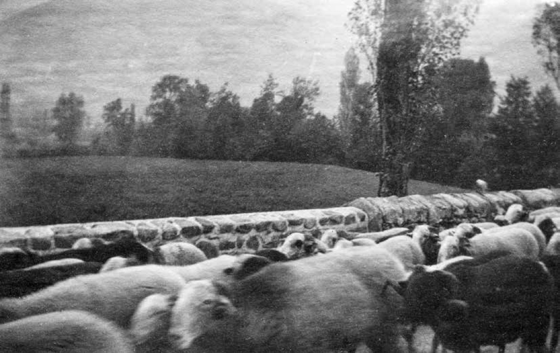 Grande Guerra, Comelico: storia di una valle in prima linea – foto Grande Guerra, Comelico: storia di una valle in prima linea – foto