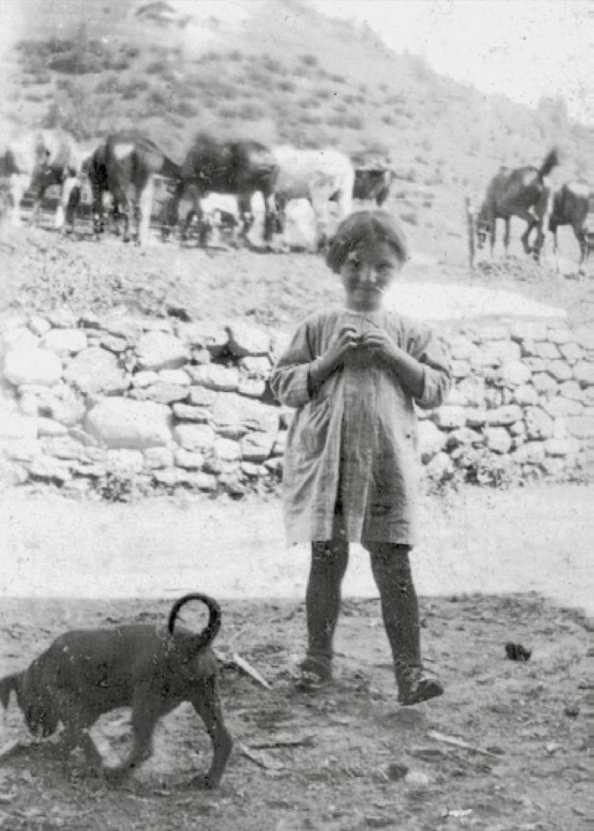 Grande Guerra, Comelico: storia di una valle in prima linea – foto Grande Guerra, Comelico: storia di una valle in prima linea – foto