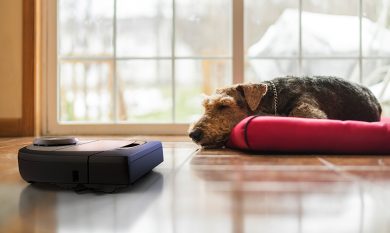 I robot aspirapolvere vi stupiranno ancora