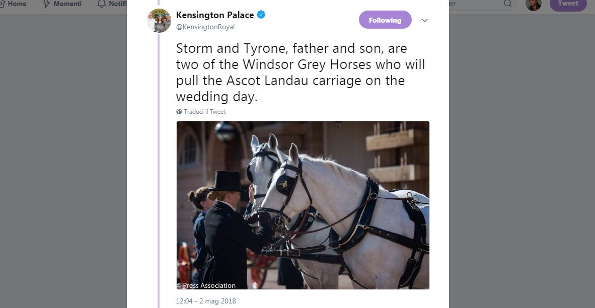 Matrimonio del principe Harry e Meghan Markle: cosa sappiamo finora