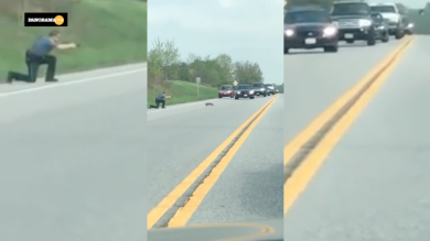 Poliziotto spara e uccide una marmotta che bloccava il traffico | video