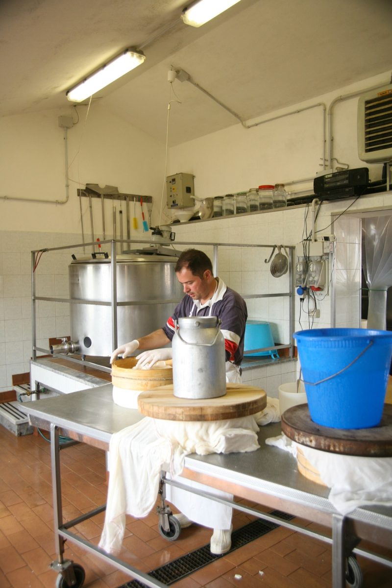 “Nomadelfia” e don Zeno Saltini: storia di una comunità di fratellanza – foto “Nomadelfia” e don Zeno Saltini: storia di una comunità di fratellanza – foto