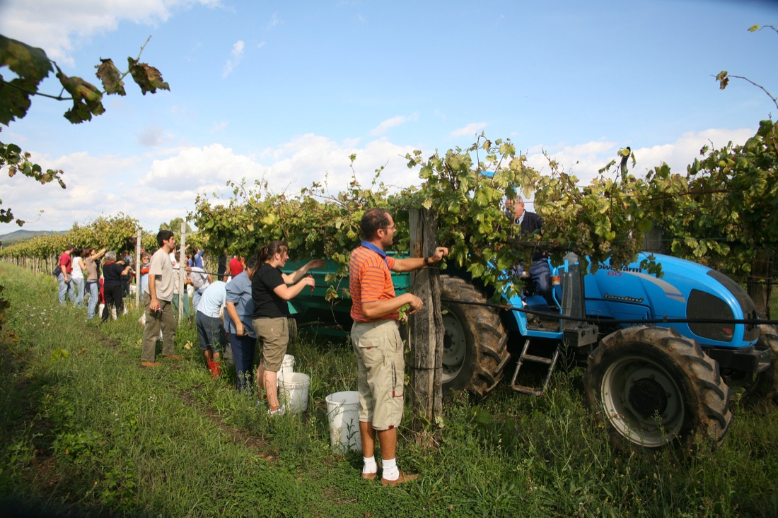 “Nomadelfia” e don Zeno Saltini: storia di una comunità di fratellanza – foto “Nomadelfia” e don Zeno Saltini: storia di una comunità di fratellanza – foto