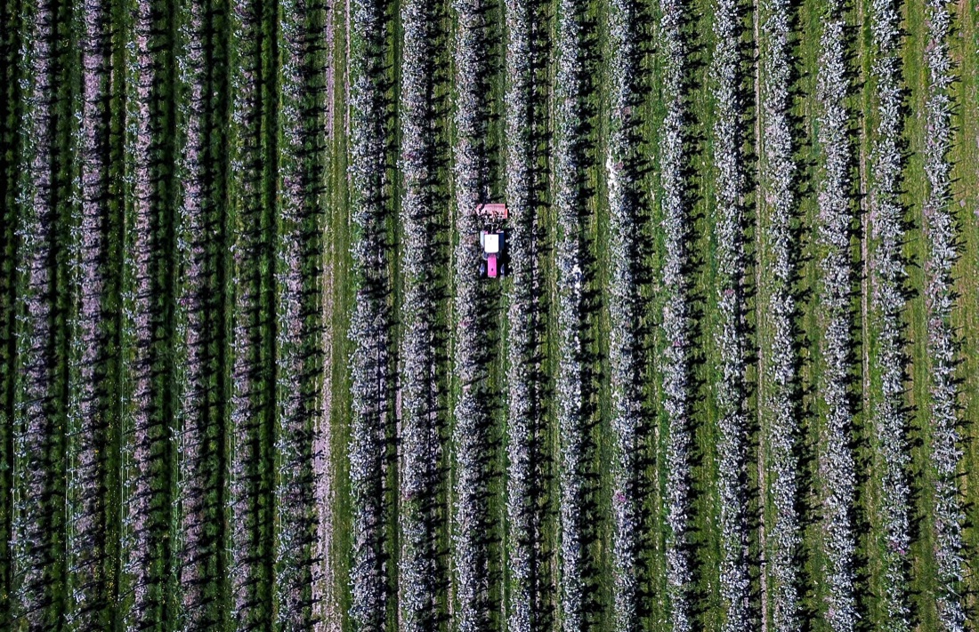 Le foto più belle della settimana: dal 5 all’11 maggio Le foto più belle della settimana: dal 5 all’11 maggio