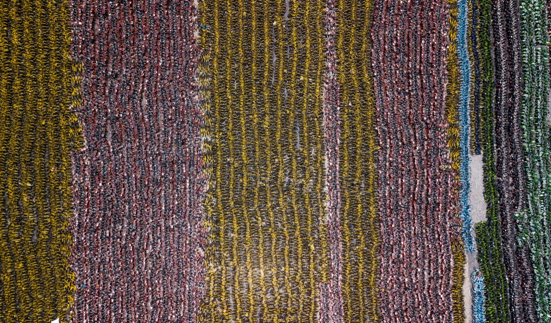 Le foto più belle della settimana: dal 5 all’11 maggio Le foto più belle della settimana: dal 5 all’11 maggio