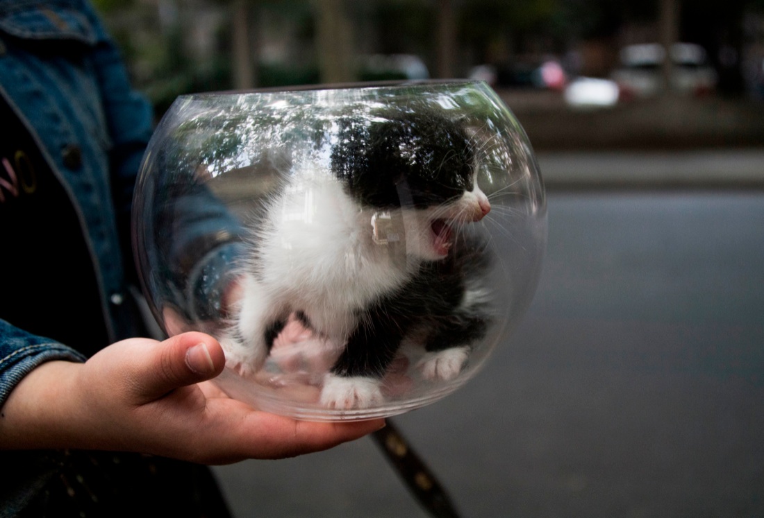 Le foto più belle della settimana: dal 5 all’11 maggio Le foto più belle della settimana: dal 5 all’11 maggio