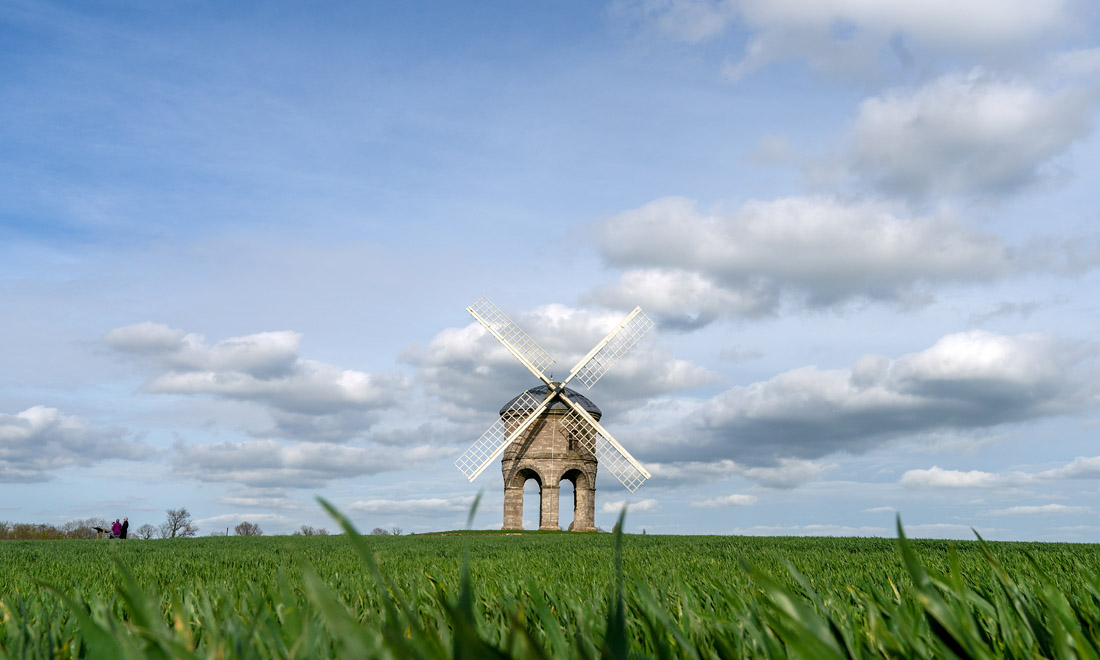 La primavera nel mondo: le foto più belle La primavera nel mondo: le foto più belle