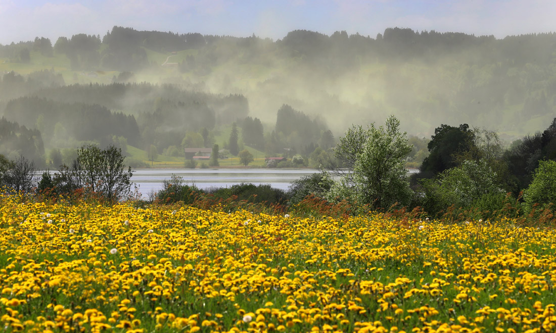 La primavera nel mondo: le foto più belle La primavera nel mondo: le foto più belle