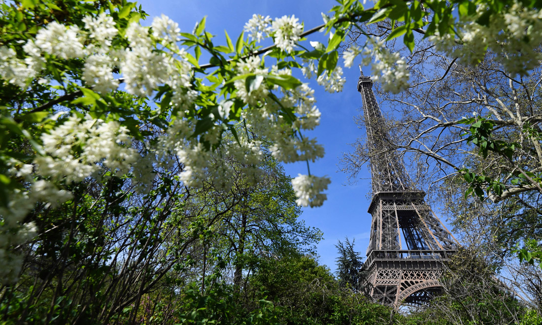 La primavera nel mondo: le foto più belle La primavera nel mondo: le foto più belle